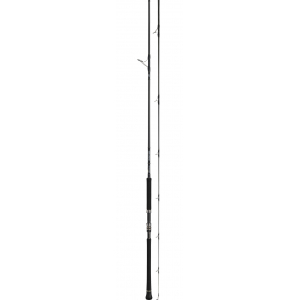 Спиннинг Daiwa Shore Spartan Break Through 106MH